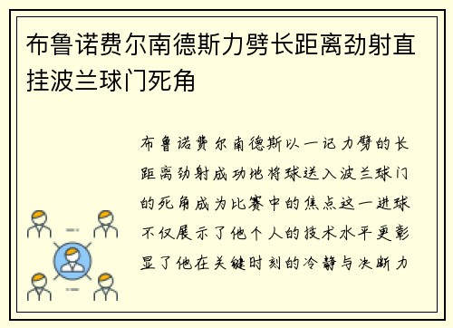 布鲁诺费尔南德斯力劈长距离劲射直挂波兰球门死角